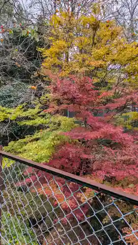 服部神社(京都府)