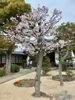 實相寺(実相寺) (京都府)