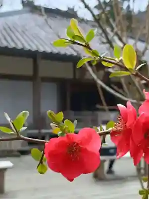 明月院(神奈川県)