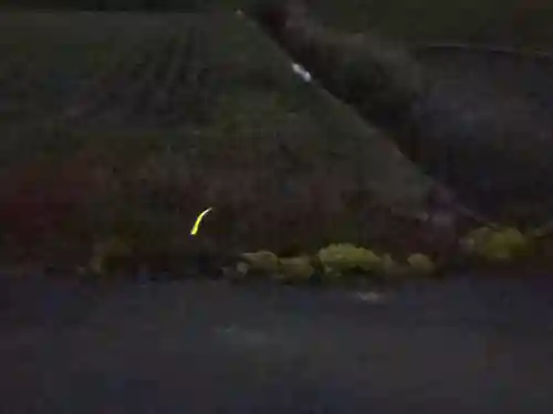 丹生都比売神社(和歌山県)