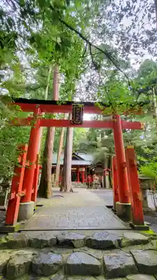 椿大神社(三重県)