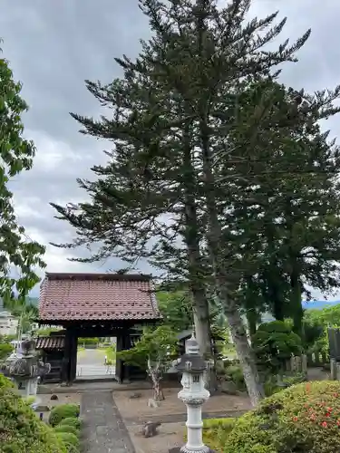 浄光寺(山形県)