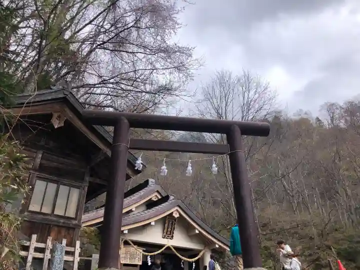 戸隠神社奥社の{uncategorized: "未分類", other: "その他", undefined: "問題あり", building: "その他建物", grave: "お墓", sacred_gate: "鳥居", guardian: "狛犬", statue: "像", buddha: "仏像", history: "歴史", nature: "自然", garden: "庭園", animal: "動物", pagoda: "塔", temizu: "手水舎", mountain_gate: "山門・神門", sanctuary: "本殿・本堂", subordinate: "末社・摂社", art: "芸術", scenery: "景色", jizo: "地蔵", ema: "絵馬", goshuin: "御朱印", omikuji: "おみくじ", items: "授与品その他", amulet: "お守り", goshuincho: "御朱印帳", eats: "食事", festival: "お祭り", votive_dance: "神楽", shichigosan: "七五三参", wedding: "結婚式", experience: "体験その他", initially: "初詣", around: "周辺", anti_infection: "感染症対策"}