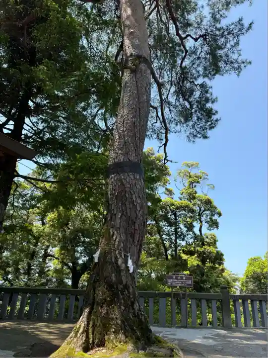唐澤山神社(栃木県)
