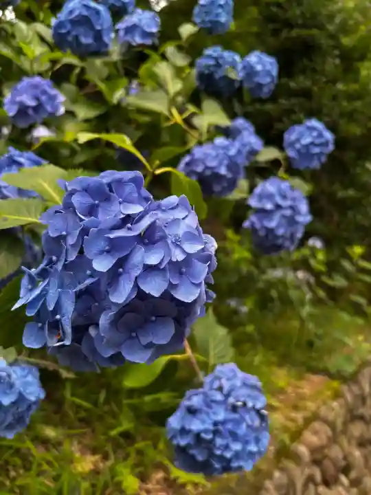 高幡不動尊 金剛寺(東京都)