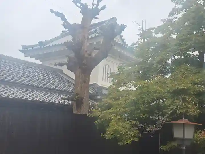 富田林興正寺別院(大阪府)