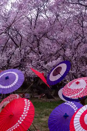 新城藤原神社(長野県)