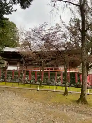 醍醐寺(上醍醐)(京都府)