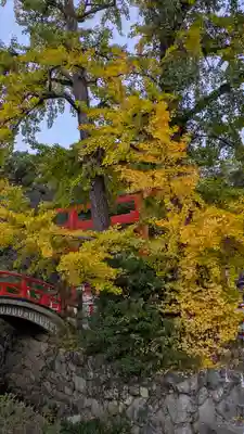 賀茂御祖神社（下鴨神社）(京都府)