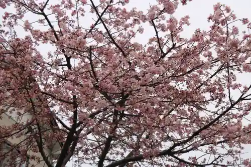 かっぱの寺 栖足寺の自然