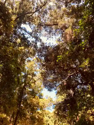 鹿島神宮(茨城県)