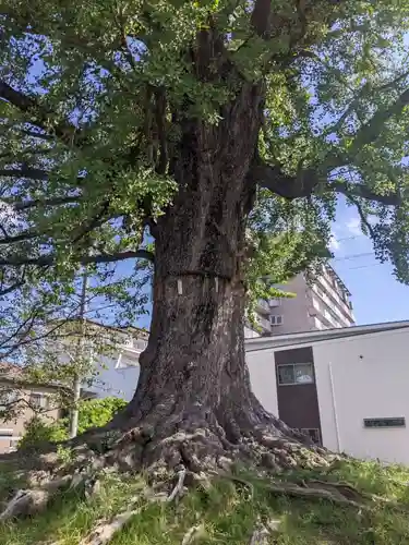 津島神社の周辺