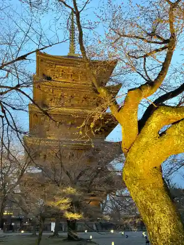 東寺（教王護国寺）の{uncategorized: "未分類", other: "その他", undefined: "問題あり", building: "その他建物", grave: "お墓", sacred_gate: "鳥居", guardian: "狛犬", statue: "像", buddha: "仏像", history: "歴史", nature: "自然", garden: "庭園", animal: "動物", pagoda: "塔", temizu: "手水舎", mountain_gate: "山門・神門", sanctuary: "本殿・本堂", subordinate: "末社・摂社", art: "芸術", scenery: "景色", jizo: "地蔵", ema: "絵馬", goshuin: "御朱印", omikuji: "おみくじ", items: "授与品その他", amulet: "お守り", goshuincho: "御朱印帳", eats: "食事", festival: "お祭り", votive_dance: "神楽", shichigosan: "七五三参", wedding: "結婚式", experience: "体験その他", initially: "初詣", around: "周辺", anti_infection: "感染症対策"}