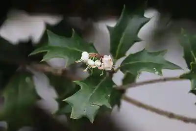愛宕神社の周辺