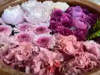 多賀神社の手水舎