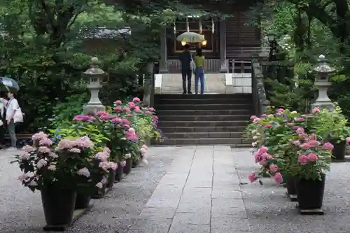 御霊神社の本殿・本堂