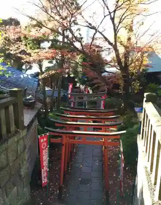 花園稲荷神社の鳥居