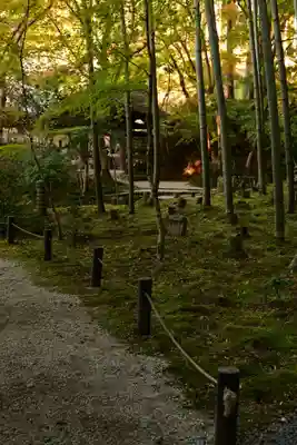 圓光寺(京都府)