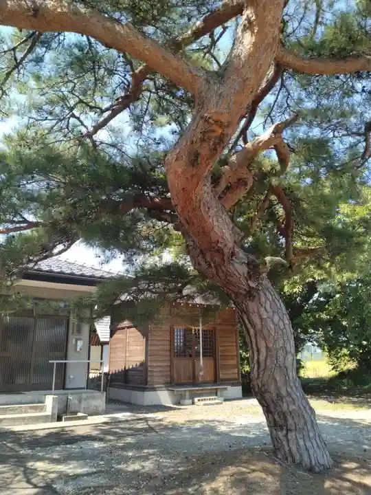 富士神社(伊達崎)(福島県)
