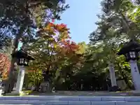 鷹栖神社の自然