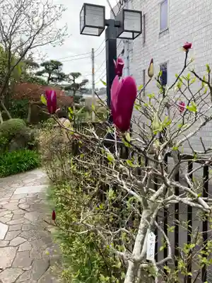 大巧寺(神奈川県)