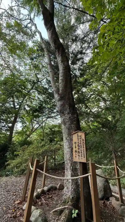 高宮神社(北海道)