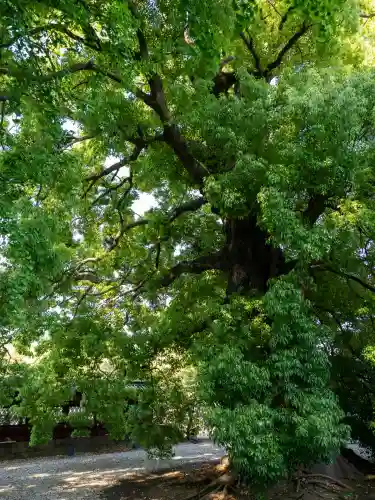 上野東照宮(東京都)