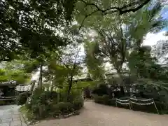 堀越神社の自然