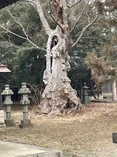 岡宮神社(長野県)