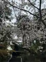 円覚寺(神奈川県)