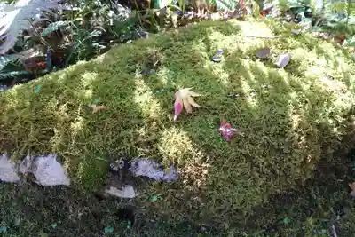 三千院門跡のその他建物