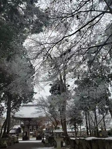 沙沙貴神社の建物その他