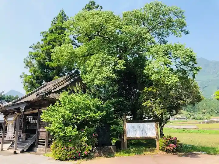 田代神社の本殿・本堂