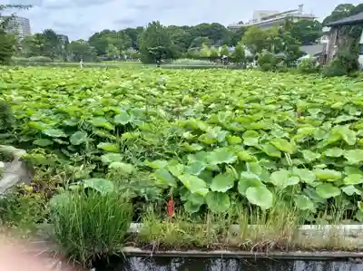 寛永寺不忍池弁天堂(東京都)