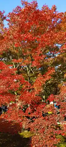 東福禅寺（東福寺）(京都府)