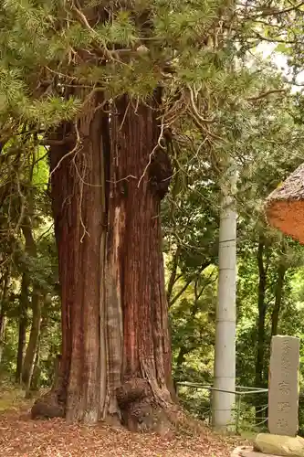 西明寺(栃木県)