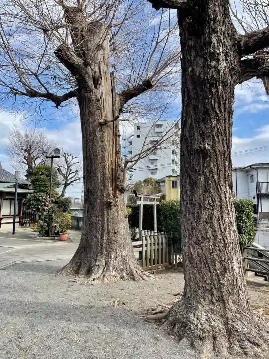 平塚神社の{uncategorized: "未分類", other: "その他", undefined: "問題あり", building: "その他建物", grave: "お墓", sacred_gate: "鳥居", guardian: "狛犬", statue: "像", buddha: "仏像", history: "歴史", nature: "自然", garden: "庭園", animal: "動物", pagoda: "塔", temizu: "手水舎", mountain_gate: "山門・神門", sanctuary: "本殿・本堂", subordinate: "末社・摂社", art: "芸術", scenery: "景色", jizo: "地蔵", ema: "絵馬", goshuin: "御朱印", omikuji: "おみくじ", items: "授与品その他", amulet: "お守り", goshuincho: "御朱印帳", eats: "食事", festival: "お祭り", votive_dance: "神楽", shichigosan: "七五三参", wedding: "結婚式", experience: "体験その他", initially: "初詣", around: "周辺", anti_infection: "感染症対策"}