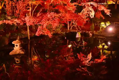 長谷寺(神奈川県)