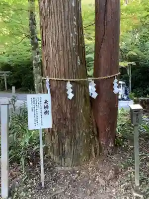 大矢田神社(岐阜県)