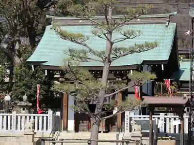 鷺宮八幡神社(保久良神社末社・お旅所)の本殿・本堂