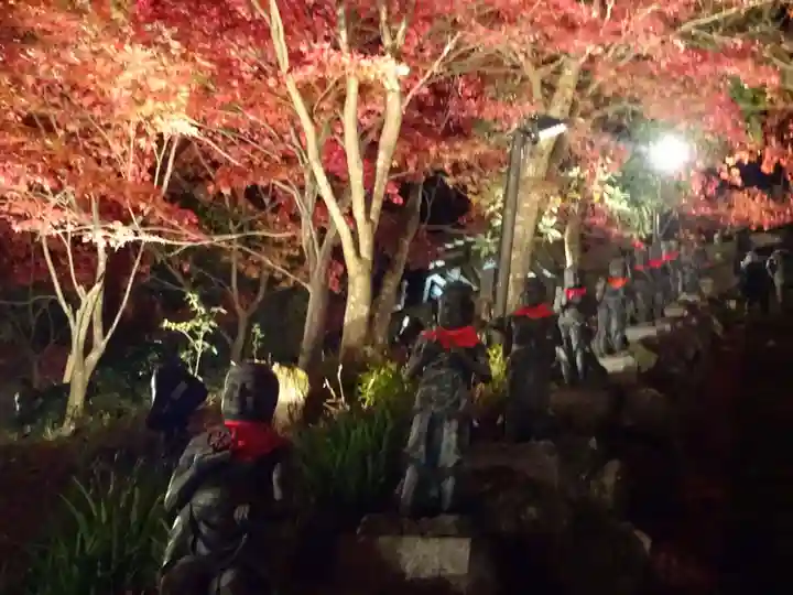 大山寺の自然