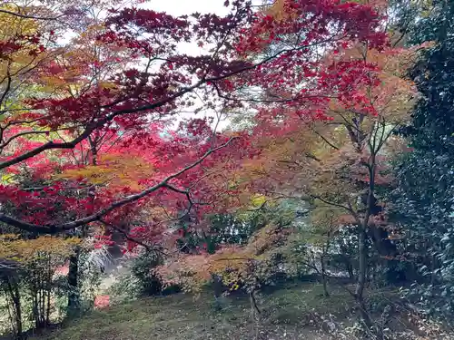 直指庵(京都府)