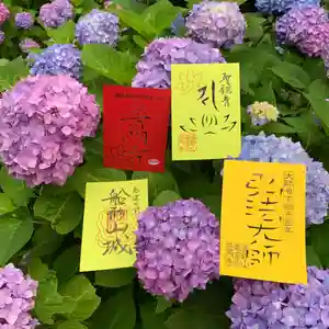 普門寺(切り絵御朱印発祥の寺)の自然(2020年06月10日(水) 12時03分10秒投稿)