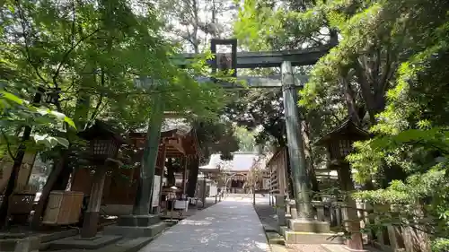 平塚八幡宮(神奈川県)