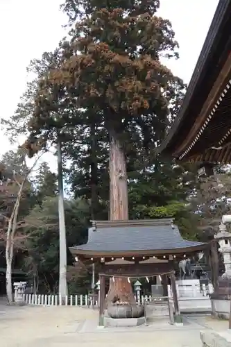 田村神社(滋賀県)