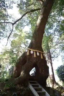 笠森寺(千葉県)