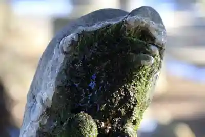 神炊館神社 ⁂奥州須賀川総鎮守⁂の狛犬