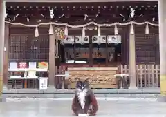 鳩ヶ谷氷川神社の動物