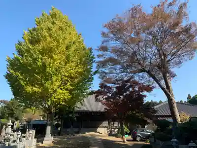 東泉寺(千葉県)