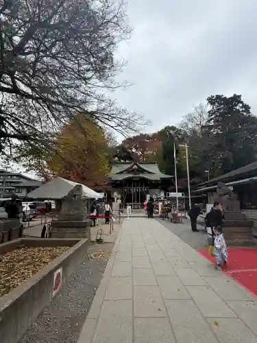 鎮守氷川神社(埼玉県)